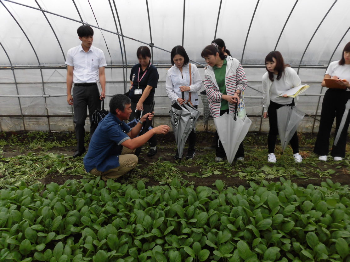 学校給食の小松菜産地見学会が実施されました 拓け ほうふ農みらい